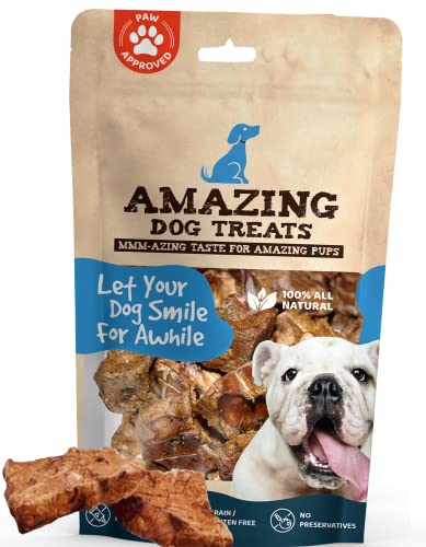 Best Dogs for Single Men
