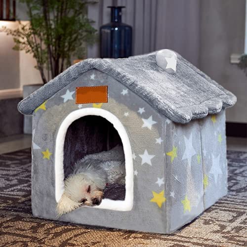Best Dogs for Small Houses