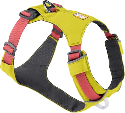 Best Dogs for Trail Running