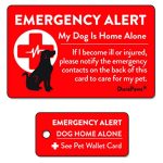 Best Dogs for Your Wallet