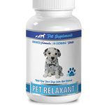 Best Dogs That Can Be Left Alone