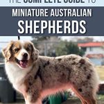 Best Dogs to Breed for Profit