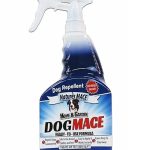 Best Dogs to Train for Protection