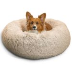 Best Donut Bed for Dogs