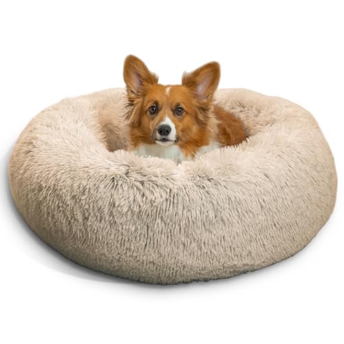 Best Donut Bed for Dogs