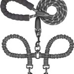 Best Double Leash for Dogs