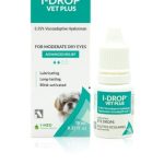 Best Drops for Dog Dry Eye