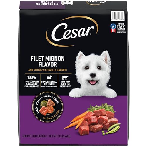 Best Dry Dog Food for Corgis