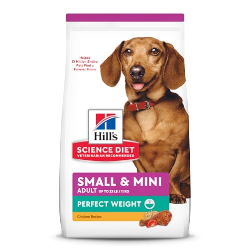 Best Dry Dog Food for Dachshunds