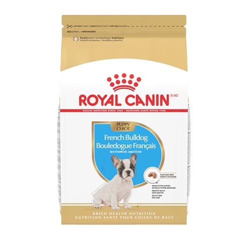 Best Dry Dog Food for French Bulldog Puppy