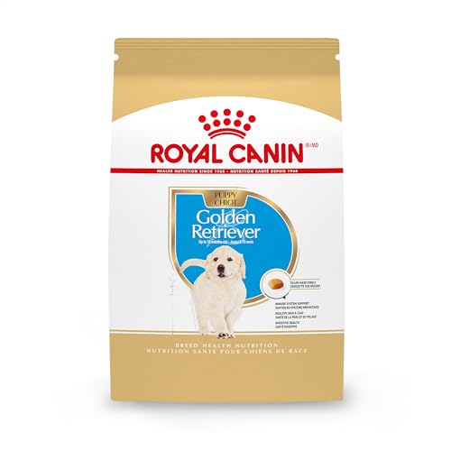 Best Dry Dog Food for Golden Retriever Puppies
