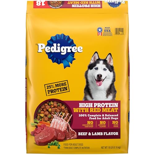 Best Dry Dog Food for Huskies