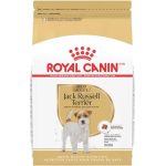 Best Dry Dog Food for Jack Russell Weiner Dog