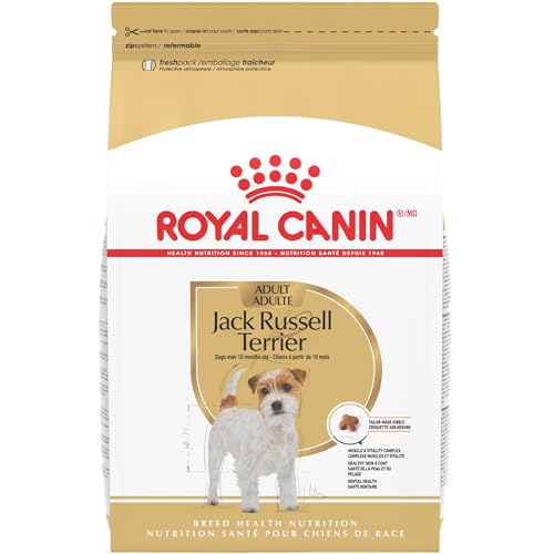 Best Dry Dog Food for Jack Russell Weiner Dog
