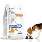 Best Dry Dog Food for Kidney Disease