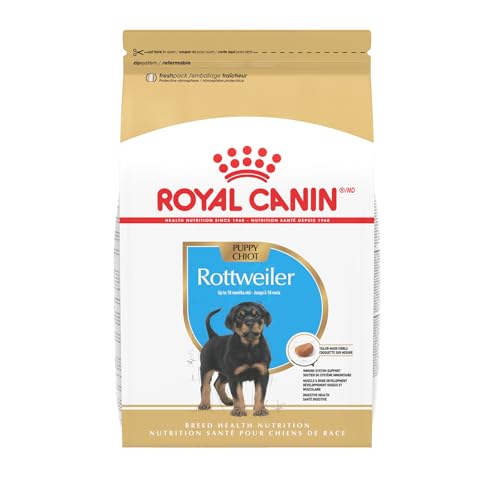 Best Dry Dog Food for Rottweiler Puppies