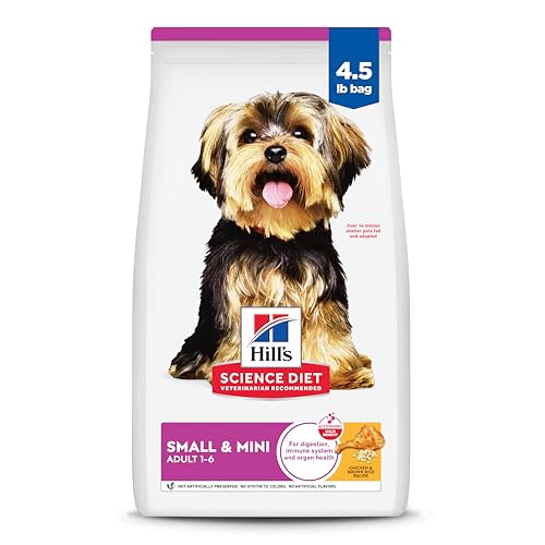 Best Dry Dog Food for Small Breed Dogs