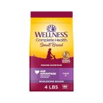 Best Dry Dog Food for Small Senior Dogs
