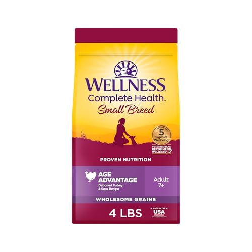 Best Dry Dog Food for Small Senior Dogs