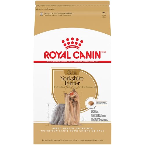 Best Dry Dog Food for Yorkshire Terriers