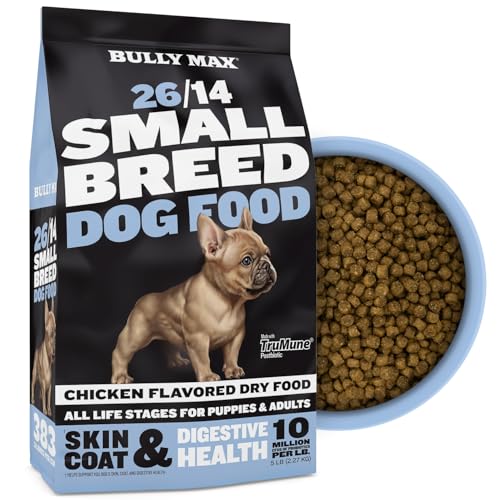 Best Dry Dog Food to Stop Flatulence
