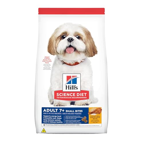 Best Dry Food for Older Dogs