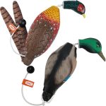 Best Duck Hunting Dog Breeds