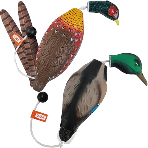 Best Duck Hunting Dog Breeds