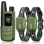 Best E Collars for Dog Training