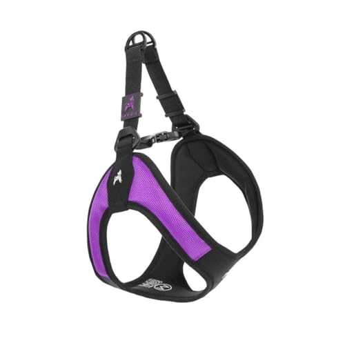 Best Easy on Dog Harness