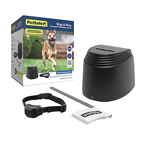 Best Electric Dog Fence for Big Dogs