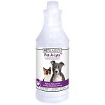 Best Electrolyte Drink for Dogs