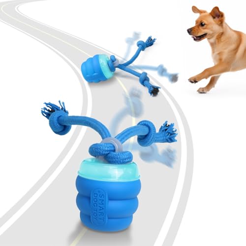 Best Electronic Toys for Dogs