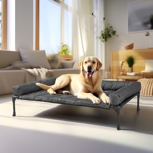 Best Elevated Dog Beds for Large Dogs