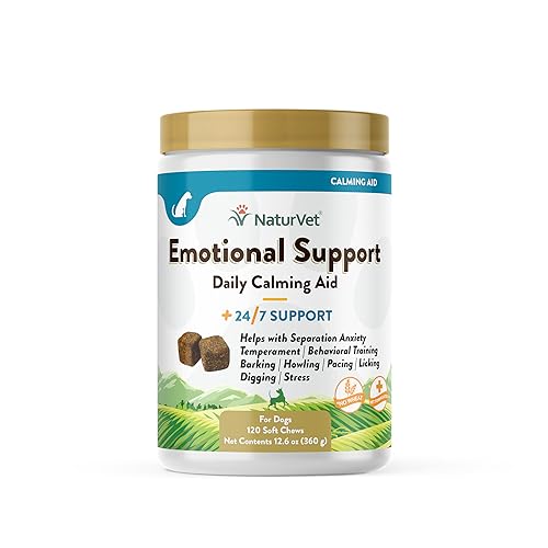Best Emotional Support Dog Breeds for Anxiety And Depression