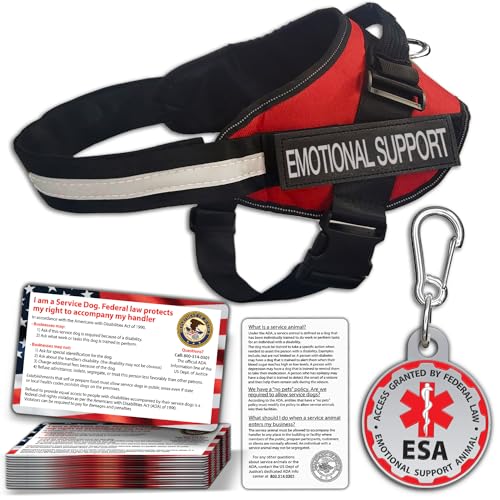 Best Emotional Support Dog Breeds