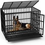 Best Escape Proof Dog Crate