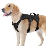 Best Escape Proof Dog Harness