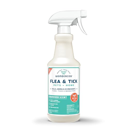 Best Essential Oils for Dog Fleas