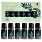 Best Essential Oils for Dogs