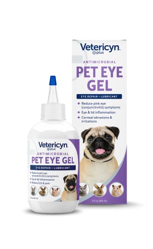 Best Eye Ointment for Dogs