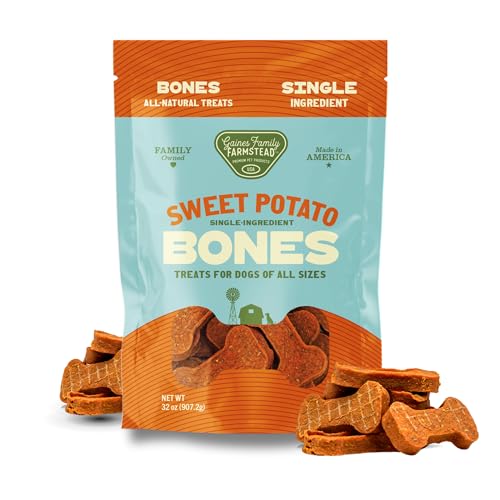Best Family Dogs Medium Size
