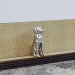 Best Family Dogs That are Hypoallergenic