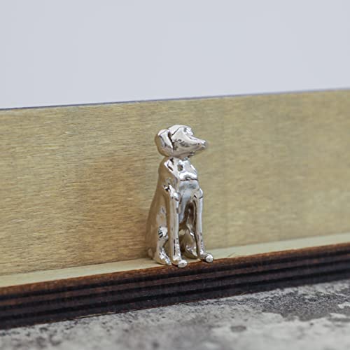 Best Family Dogs That are Hypoallergenic