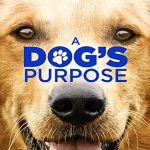 Best Family Movies About Dogs