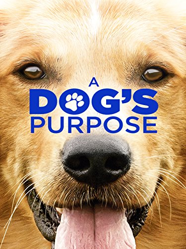 Best Family Movies About Dogs