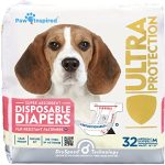 Best Female Dog Diapers for Incontinence