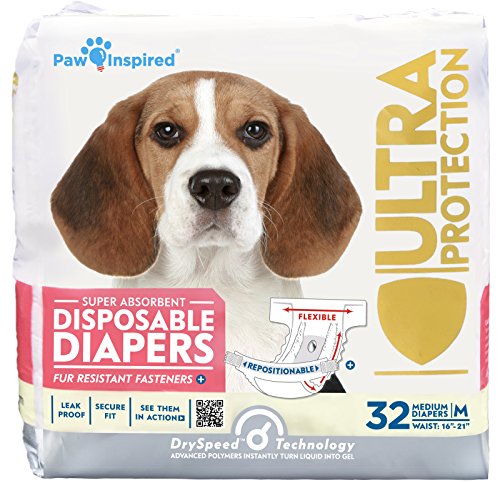 Best Female Dog Diapers for Incontinence