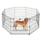 Best Fence for Small Dogs