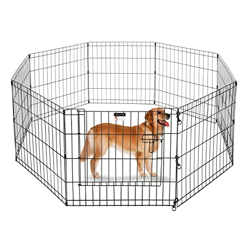 Best Fence for Small Dogs